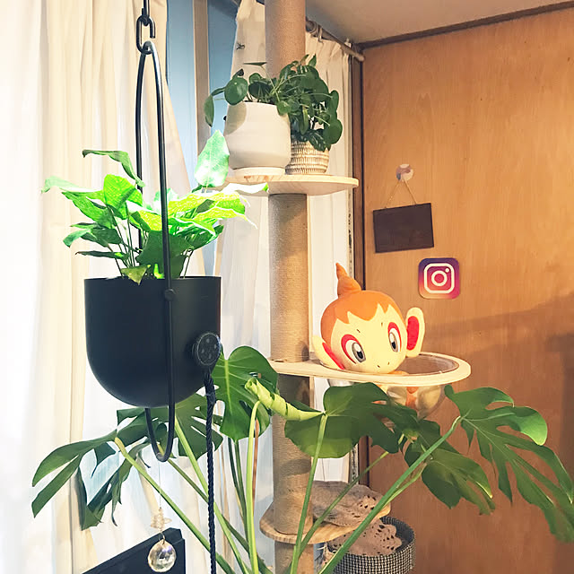 kou-kitiさんの実例写真