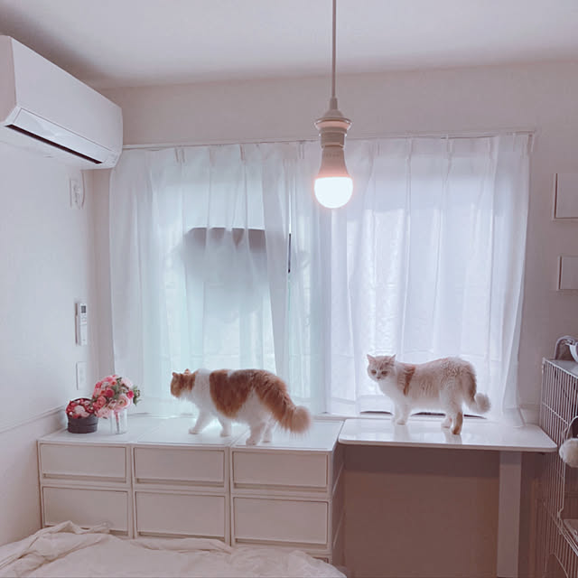 H.Tさんの実例写真