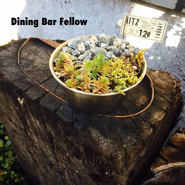 Fellowさんの実例写真