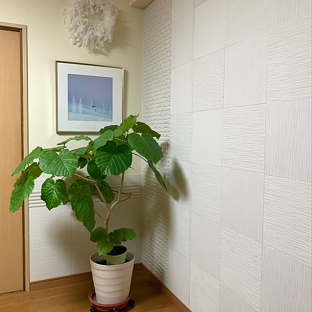 mizucchiさんの実例写真