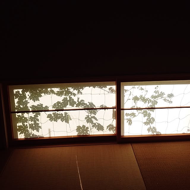 miki0226さんの実例写真