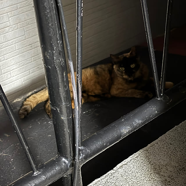 yukarin012さんの部屋