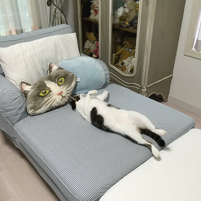 yuchiさんの実例写真