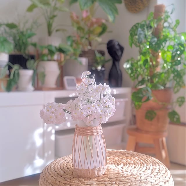 YuriYuriさんの実例写真