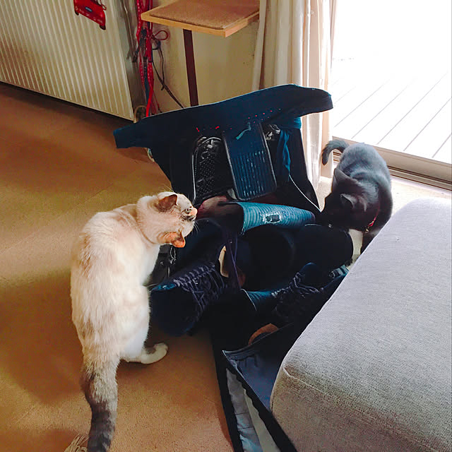 nanaさんの実例写真
