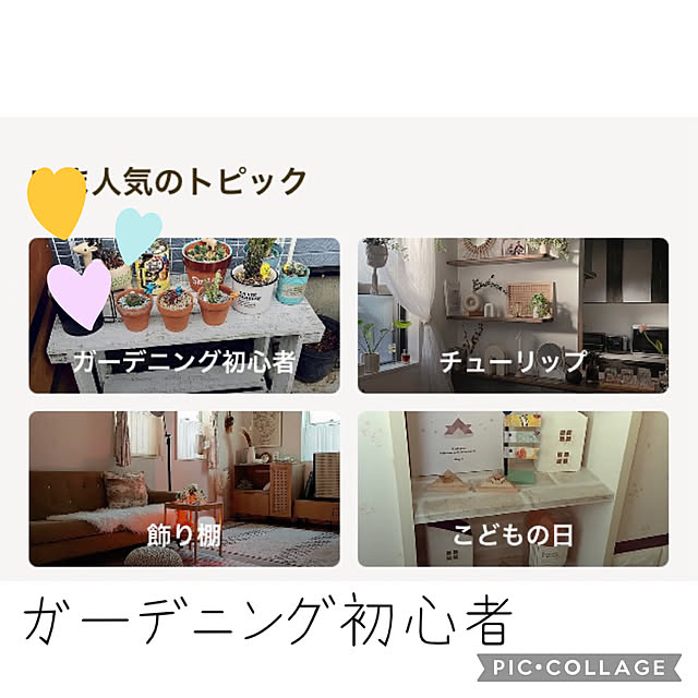 CoCo0617さんの実例写真