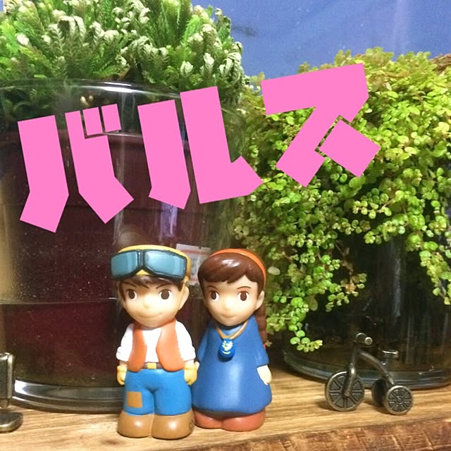 hisahimeさんの実例写真
