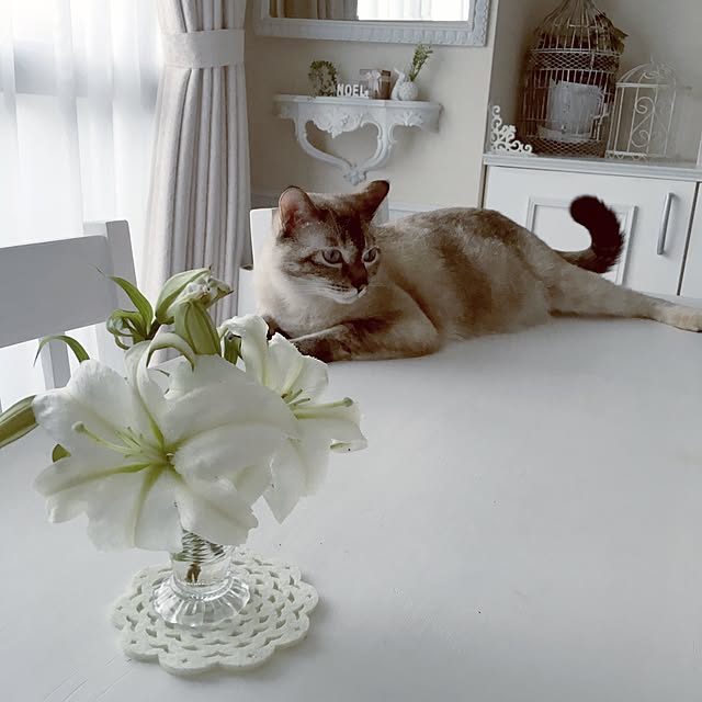 noelさんの実例写真