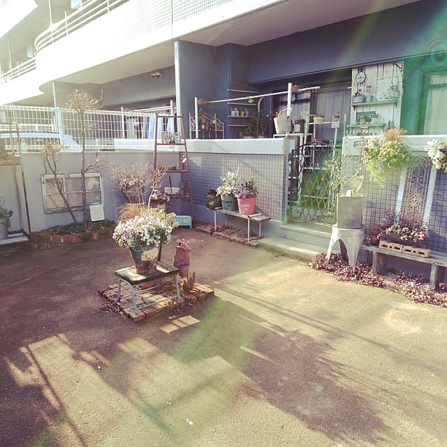 haxtusi301さんの実例写真