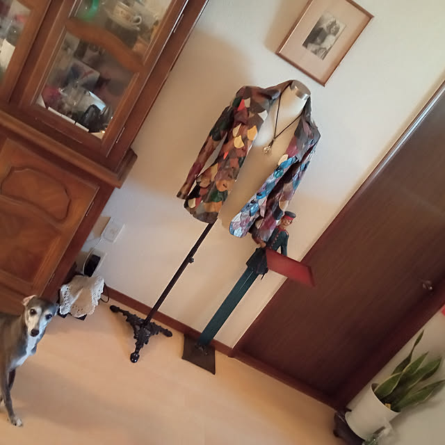 moruさんの実例写真