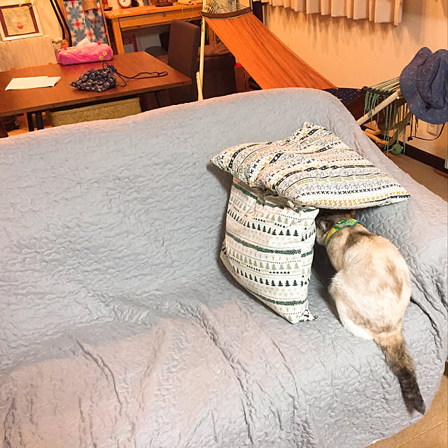 nanaさんの実例写真