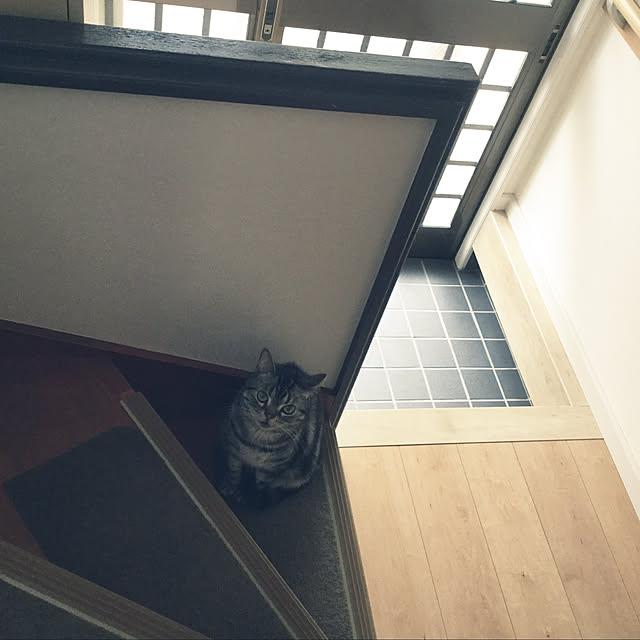 richanさんの実例写真