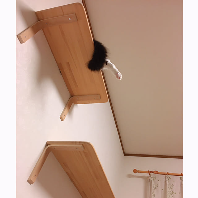 mame-minさんの実例写真