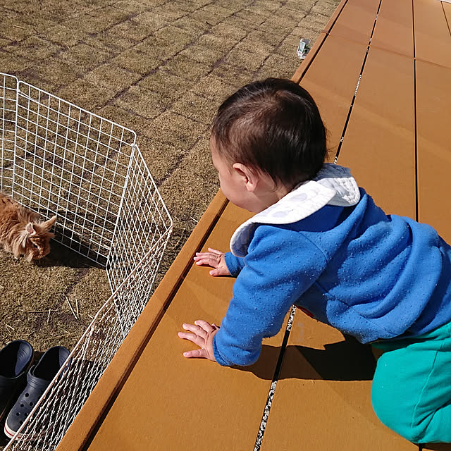 Hikkyさんの実例写真