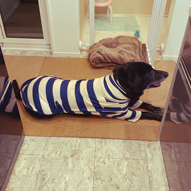 amamさんの実例写真
