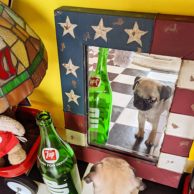 kuupugさんの実例写真