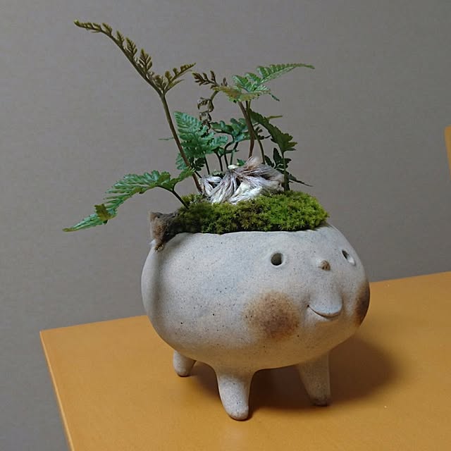 yusuke415さんの実例写真