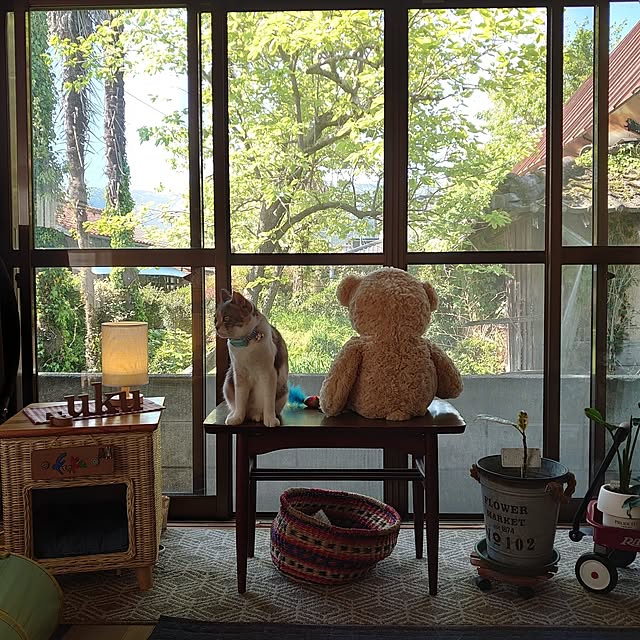 fukuさんの部屋
