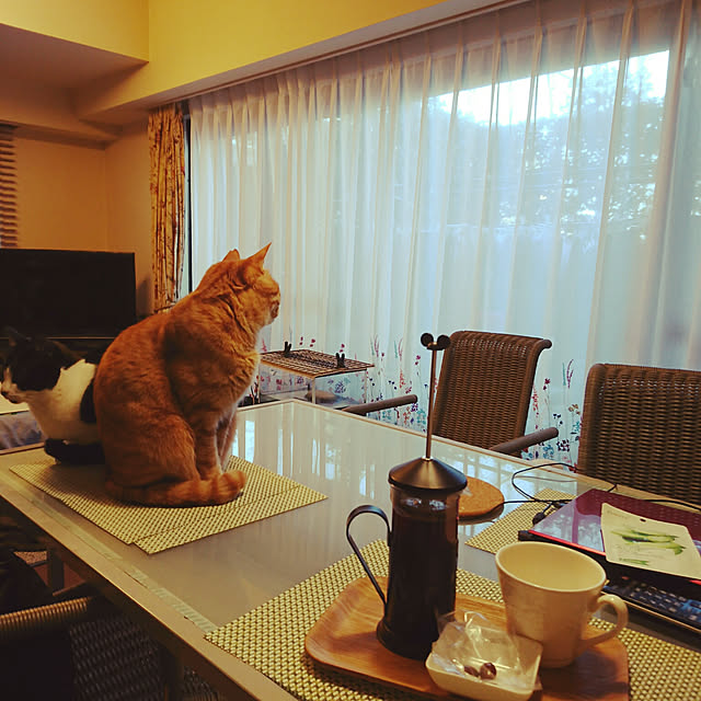 okyosan101さんの実例写真