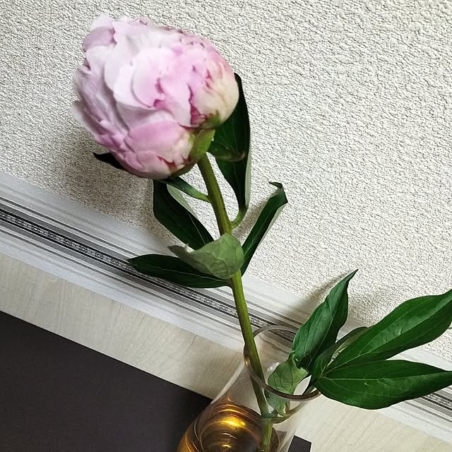 yuzuさんの実例写真