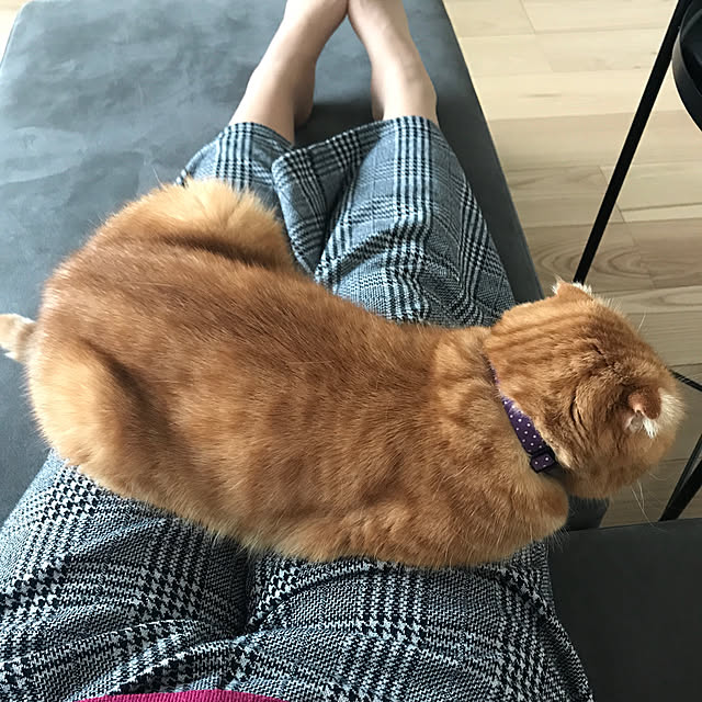 hm_myhomeさんの実例写真
