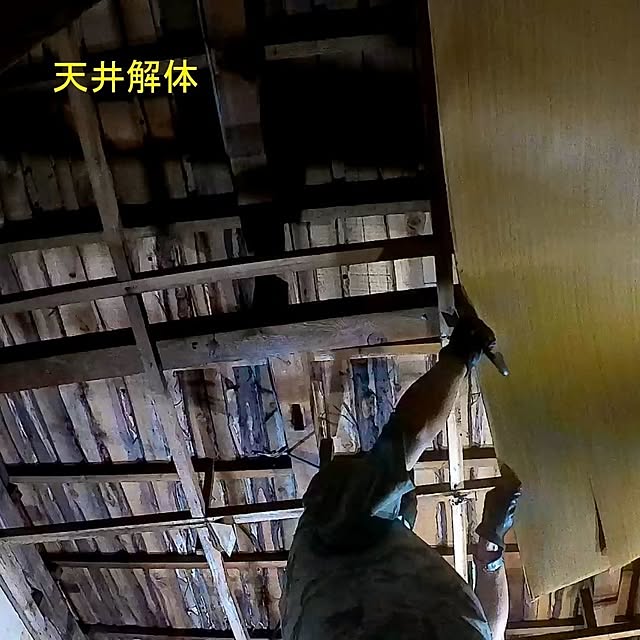littlejoyさんの部屋