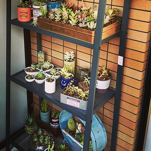 hn_gardenさんの実例写真