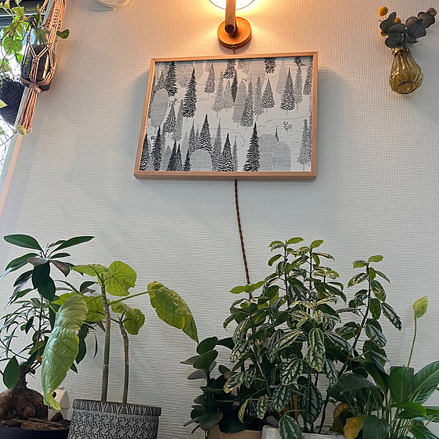 kojimasaさんの部屋