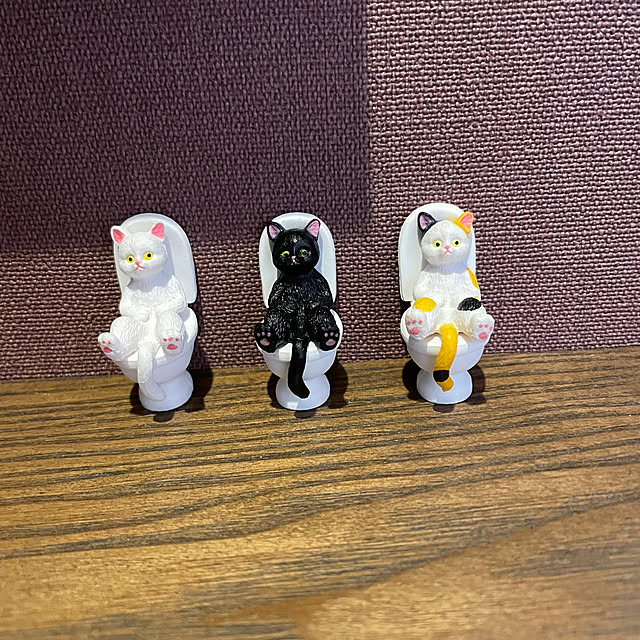 ikuzakさんの部屋
