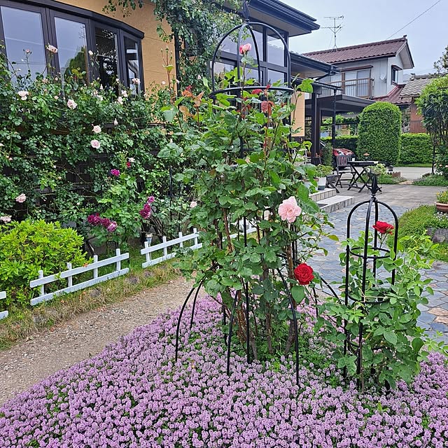 exileingkさんの実例写真