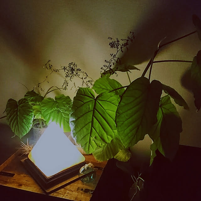 s.p.sunaoさんの実例写真
