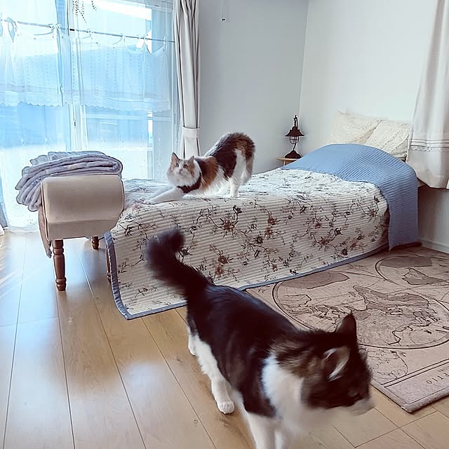 +CHIHARU+さんの実例写真