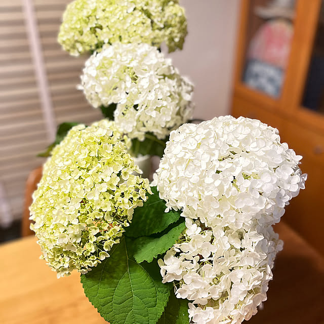 Mutsumiさんの部屋