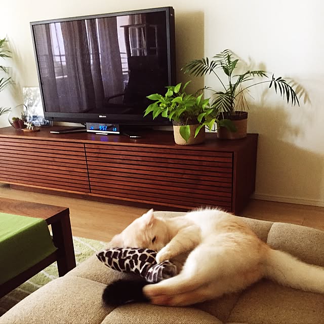 y.k.0123さんの実例写真