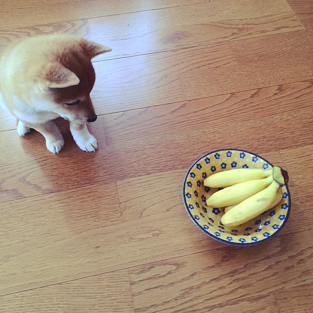 e_tさんの実例写真