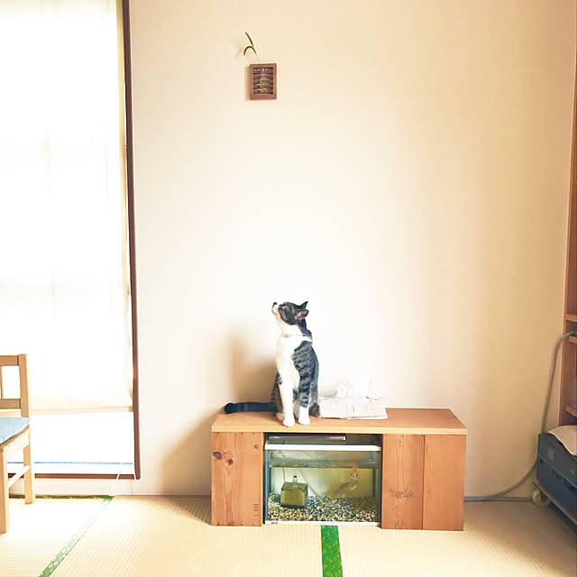 JUENさんの実例写真