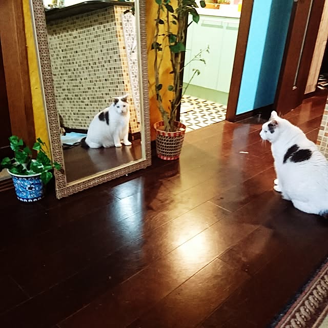 Kaoruさんの実例写真