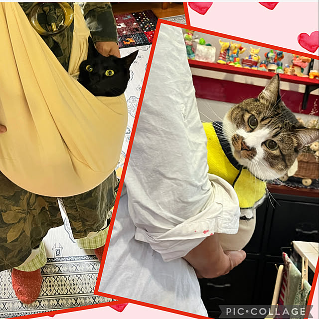 jijiさんの実例写真