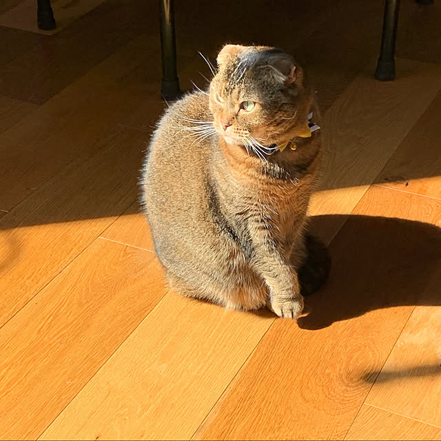 marikoさんの実例写真
