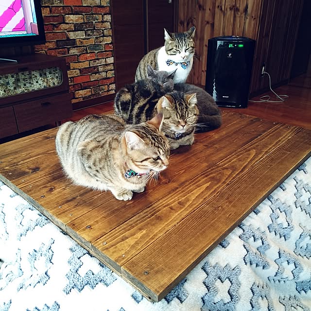 annさんの実例写真