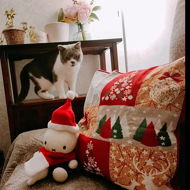 KEIKOさんの実例写真