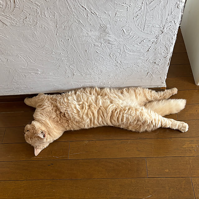 naokoさんの部屋