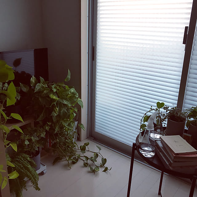 kafkaさんの実例写真