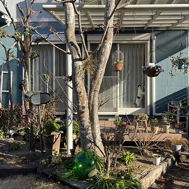 nobikoさんの実例写真