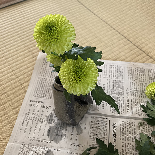 reeさんの実例写真