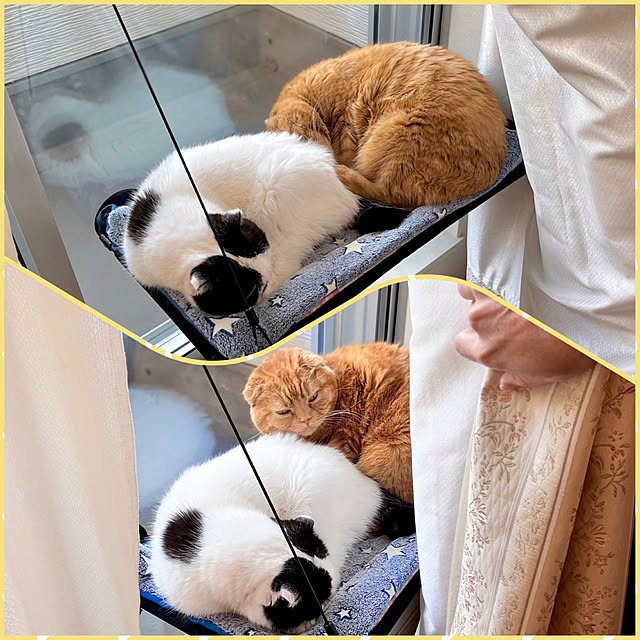 pinaminさんの実例写真