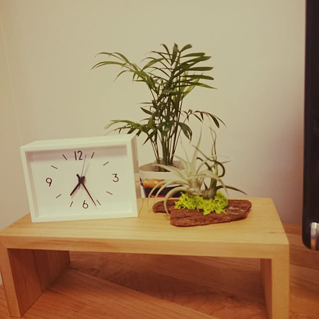 hayaさんの実例写真