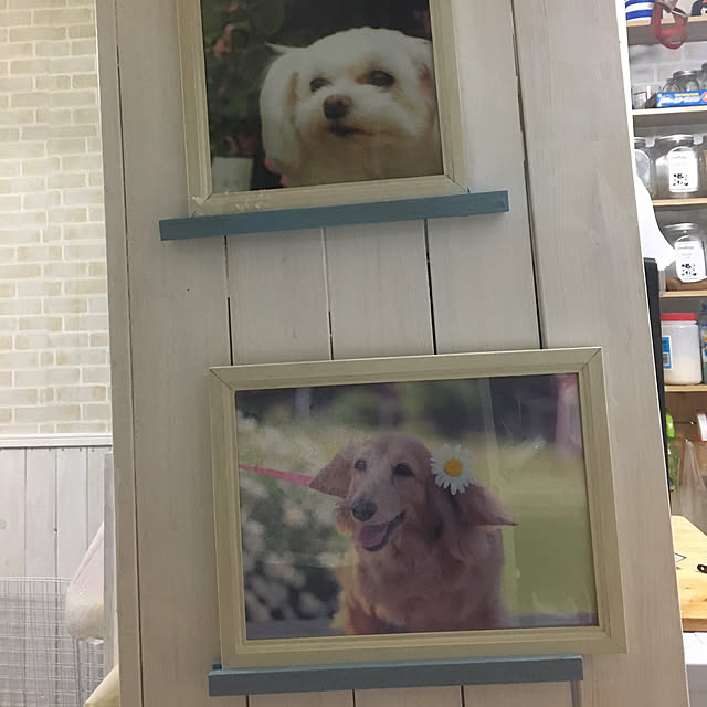 konohaさんの実例写真