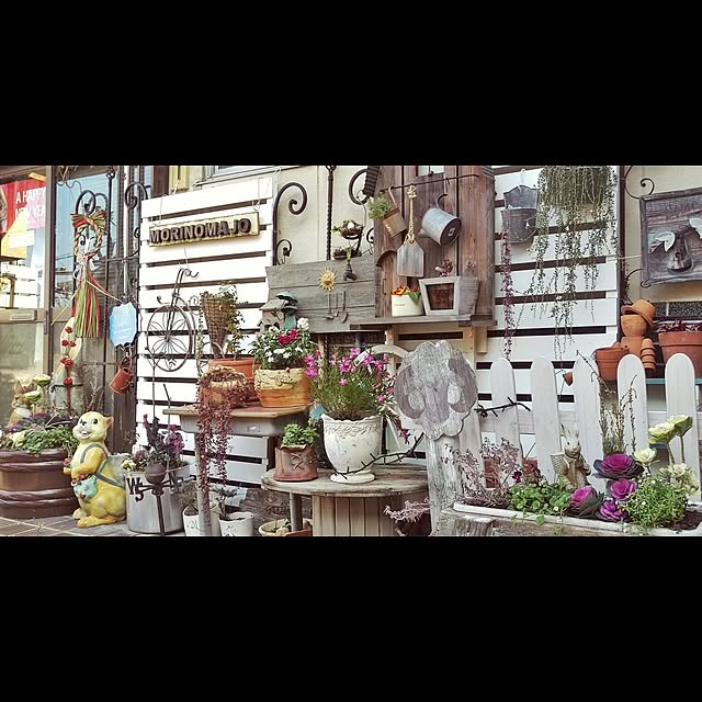 majoさんの実例写真