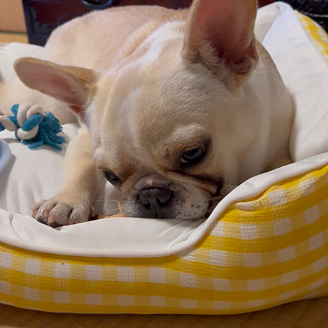 Inarichinさんの部屋
